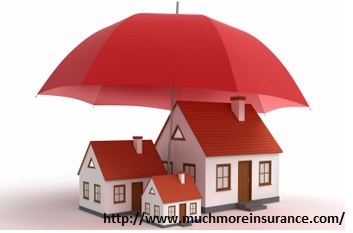 Auto Insurance New Port Richey FL - Commercial Insurance.jpg