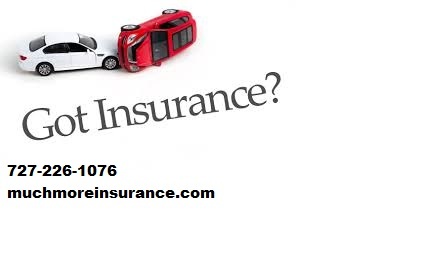 Click to enlarge Auto Insurance New Port Richey FL - 727-226-1076.jpg