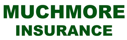 Click to enlarge Auto Insurance - New Port Richey - FL - 727-226-1076.jpg