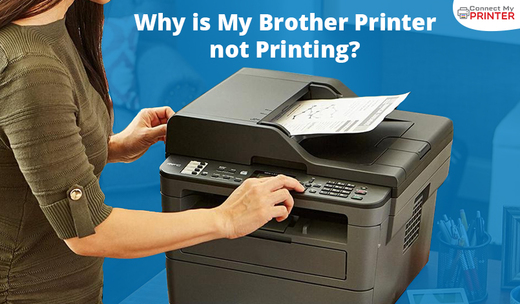 Why-is-My-Brother-Printer-not-Printing.jpg