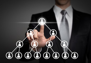 Binary MLM companies.jpg