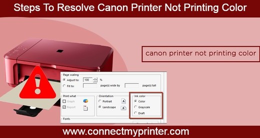 Steps To Resolve Canon Printer Not Printing Color.jpg