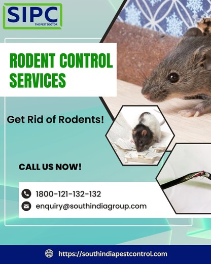 rodent control hyderabad.jpg