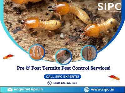 pre&post termite treatment (2).png
