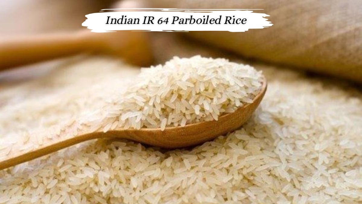 Click to enlarge Indian IR 64 Parboiled Rice.jpg