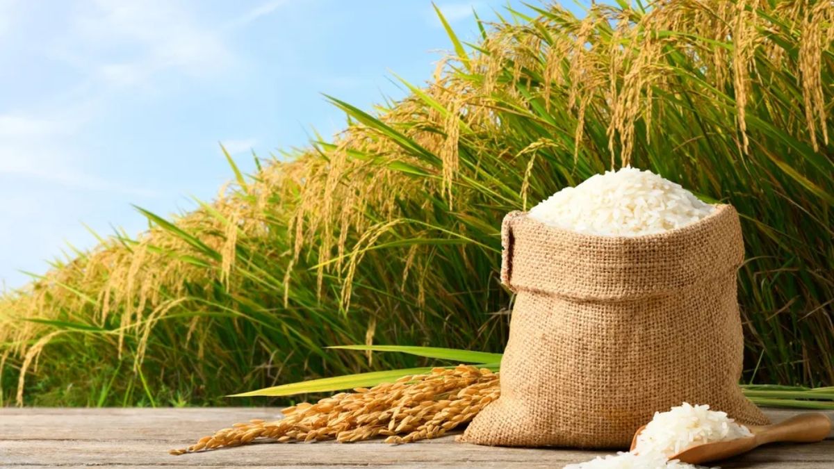 Click to enlarge Non Basmati Rice (1).jpg