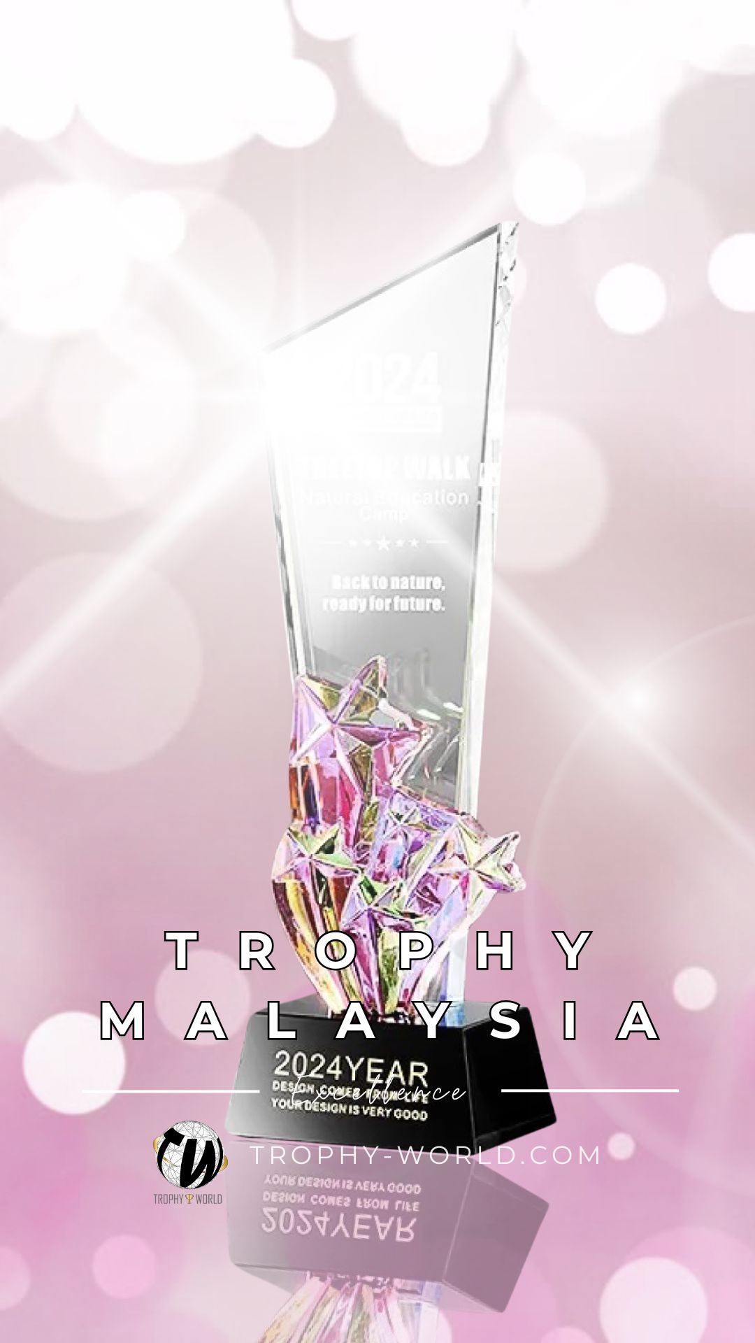 Modern Pink Star Crystal Trophies at Trophy-World Malaysia.jpg