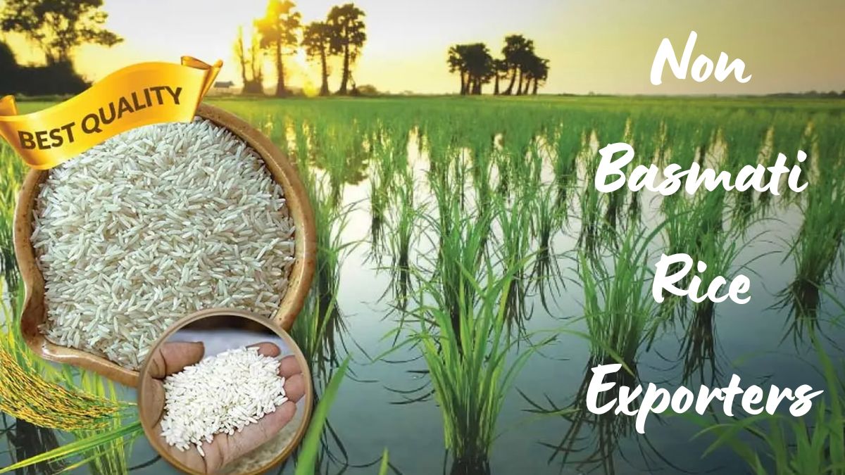 Click to enlarge Non Basmati Rice Exporters.jpg