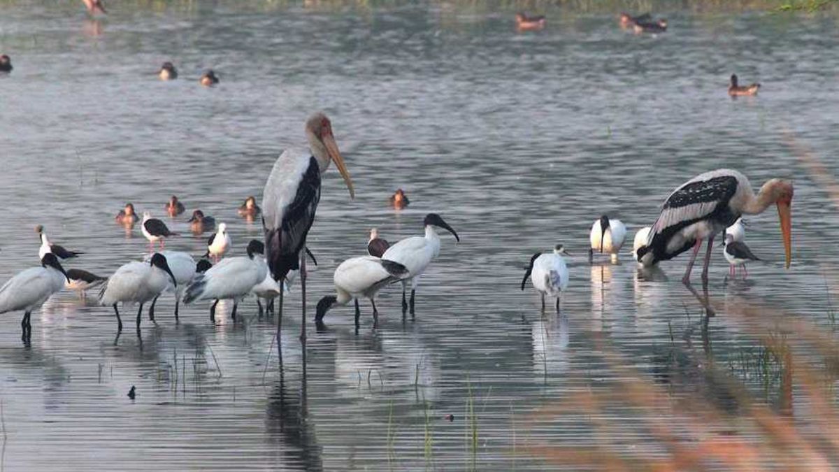 Click to enlarge Tourist Places Near Noida Under 100 km .jpg