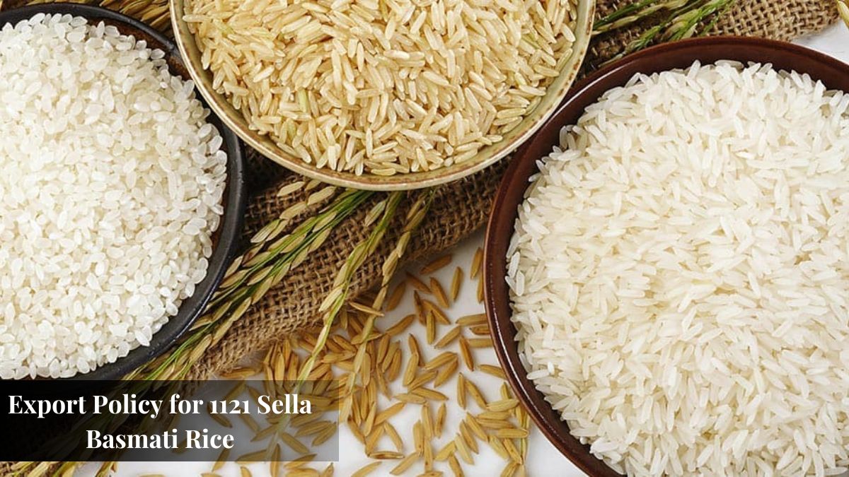 Export Policy for 1121 Sella Basmati Rice.jpg