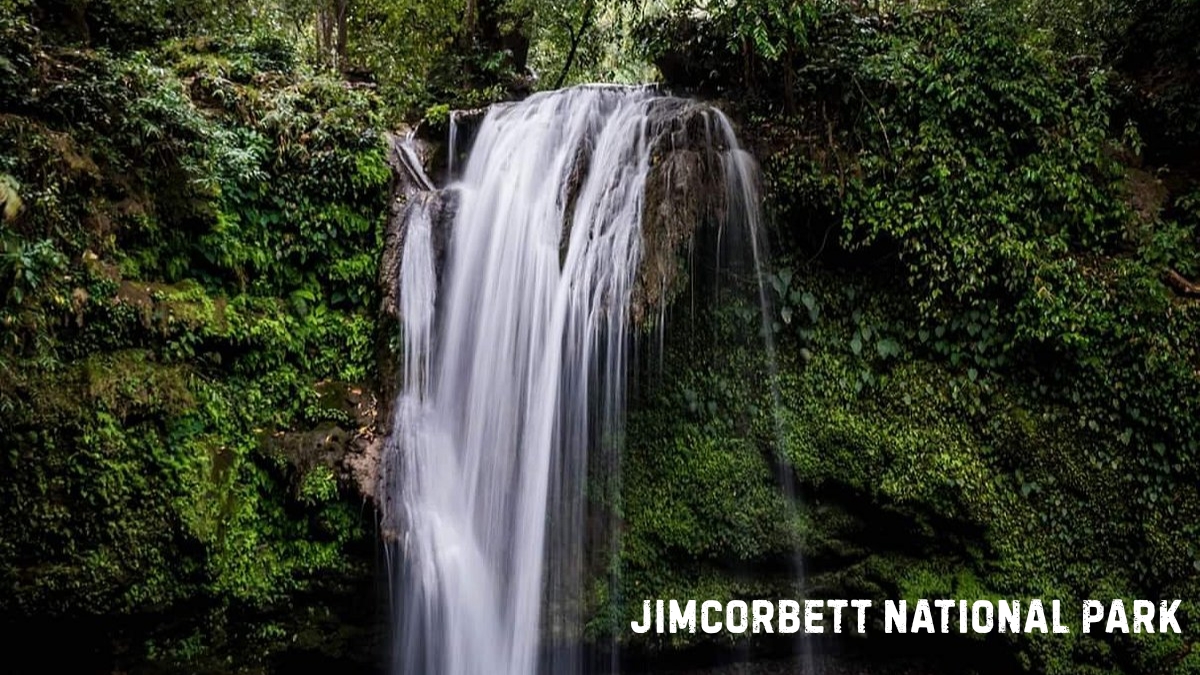 Jimcorbett National Park.jpg
