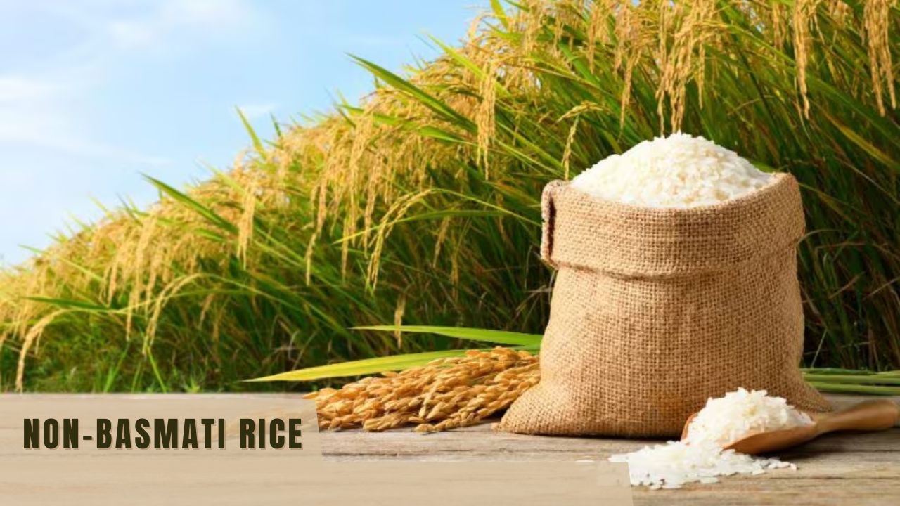 Click to enlarge Non-Basmati Rice (1).jpg