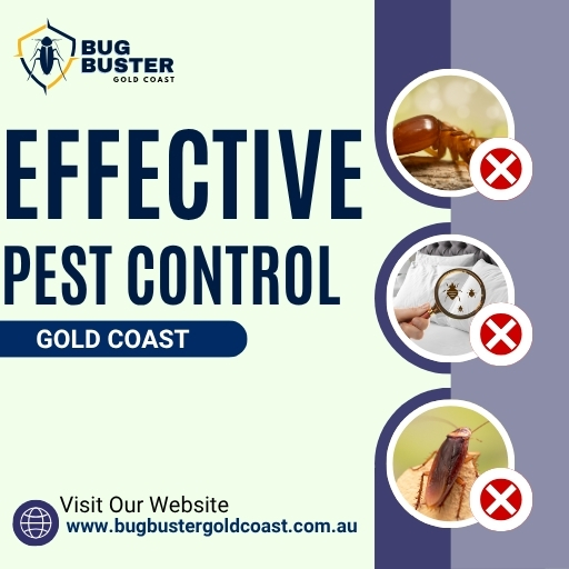 Effective Pest Control Gold Coast..jpg