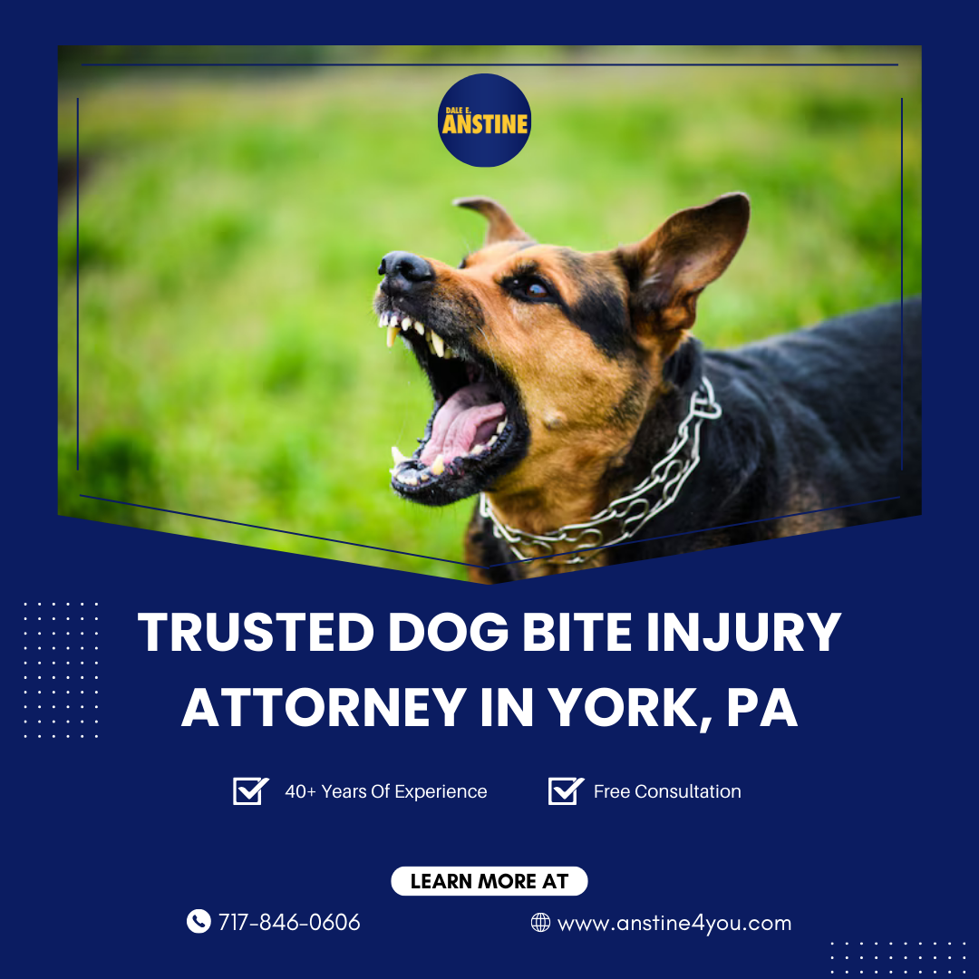 Trusted Dog Bite Injury Attorney in York PA.png