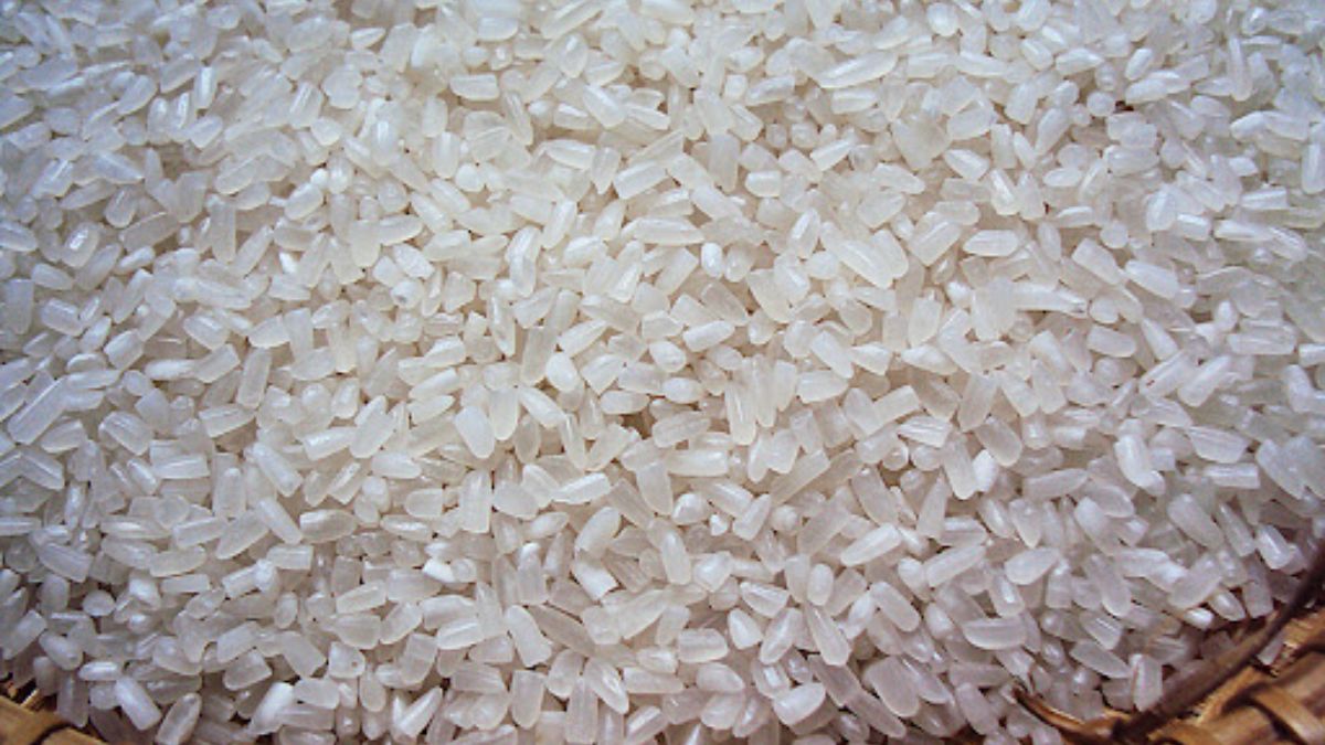 Broken Rice (2).jpg