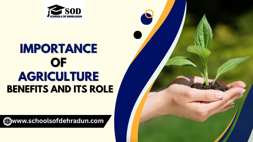 Importance of Agriculture - Benefits and Its Role.jpg