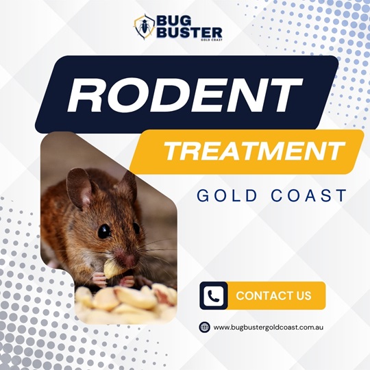 Rodent  Treatment Gold Coast.jpg