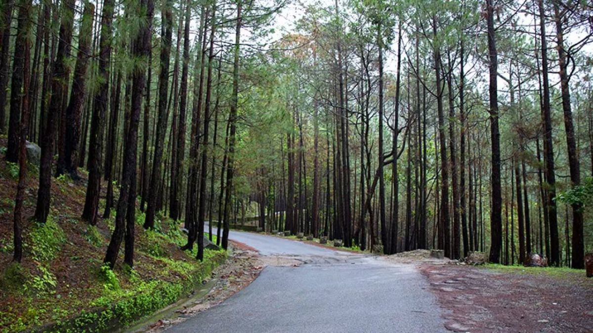 Click to enlarge Ghaziabad to Ujjain Road Trip Details.jpg