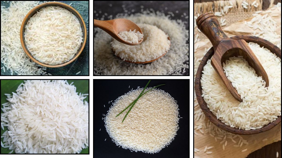 Click to enlarge basmati rice.jpg